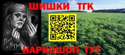 индика Краснознаменск