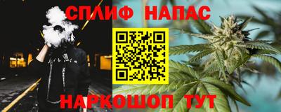 индика Краснознаменск