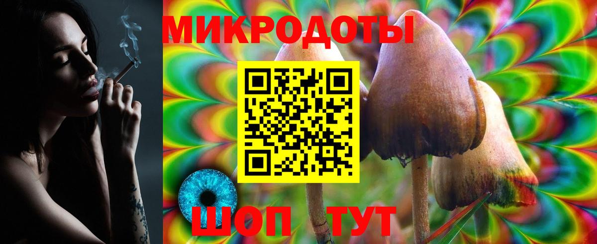 Дубна  Галлюциногенные грибы Psilocybe  Вход с VPN 